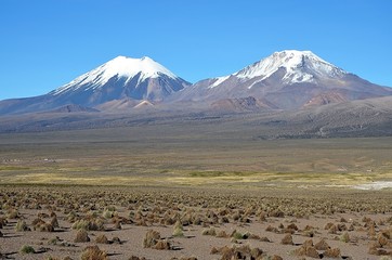 Volcans Parinacota et Pomerape - Altiplano Bolivie