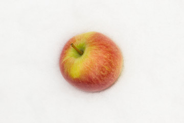 Red apple in the snow