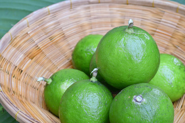 Fresh limes in basket