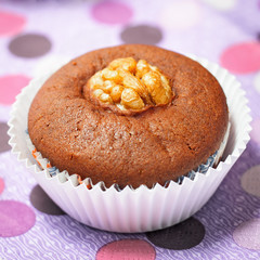 chocolate cupcake with walnut.