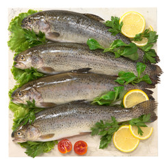 Trote - Trouts