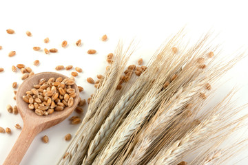 Wheat in a wooden spoon