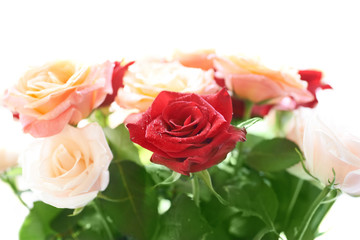 Bouquet of red and white beautiful roses