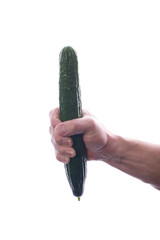 Raw food © brianholm