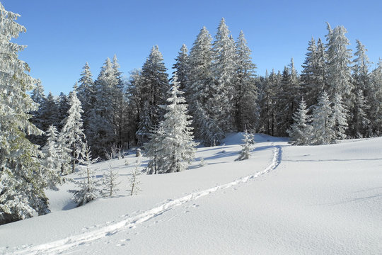 Winterlandschaft m. Fu&szlig;spur