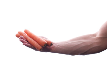 Raw food © brianholm