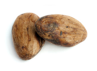 Cocoa beans