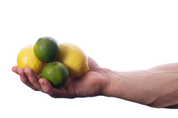 Raw food © brianholm