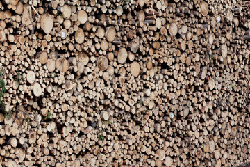 Pile of Wood