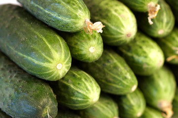 Green cucumbers, background