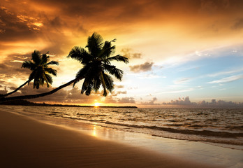 Obraz na płótnie Canvas zachód słońca na plaży w Morzu Karaibskim