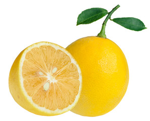 lemon leaf