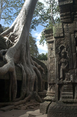 Templos de Angkor. Ta Prohm. Camboya