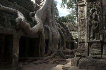 Templos de Angkor. Ta Prohm. Camboya