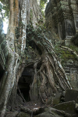 Templos de Angkor. Ta Prohm. Camboya