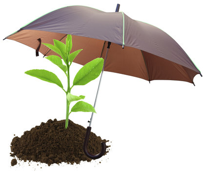concept protection nature, &eacute;cologie, environnement