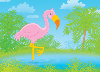 Obraz premium Pink flamingo