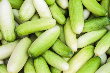 Cucumbers