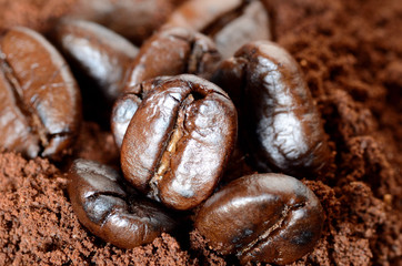 Coffee beans