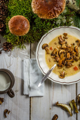 Soup with wild mushrooms in a natural environment