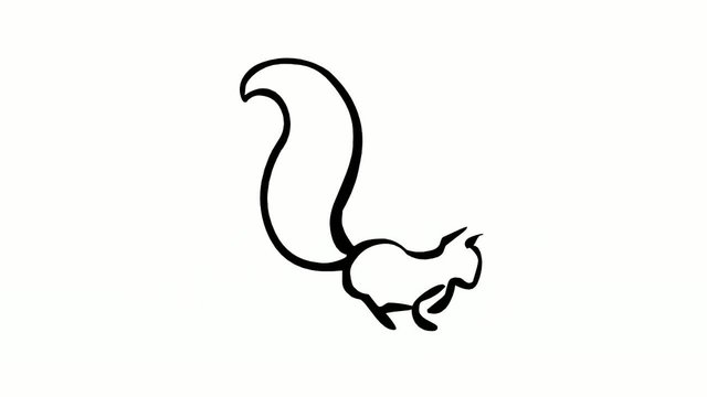 Jumping Squirrel (loop animation)