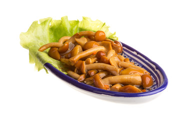 agaric honey at plate