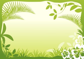 Fototapeta premium green leaf background