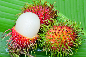 Rambutan on green leaf