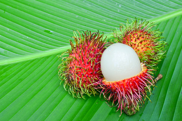 Rambutan on green leaf