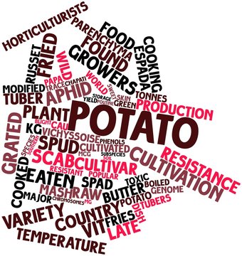 Word cloud for Potato