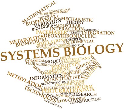 Word Cloud For Systems Biology