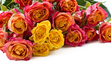 Naklejka premium bouquet of roses isolated
