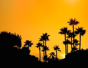 Fototapeta na wymiar Zachód słońca w Chiclana, Kadyks, Hiszpania.