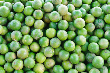 Group of fresh lemon