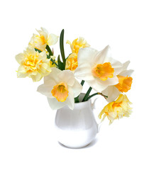 narcissus flowers in a pitcher