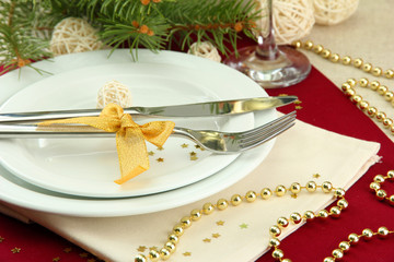 beautiful christmas setting, close up © Africa Studio