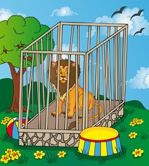 Obraz premium Lion in cage