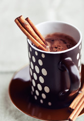 Hot chocolate with cinnamon