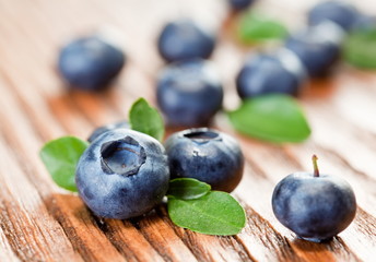 Blueberries with leaves