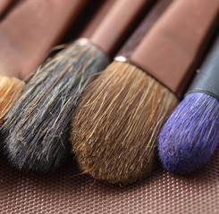 Brushes macro detail
