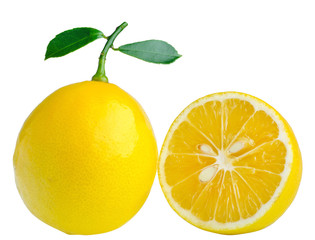 lemon leaf