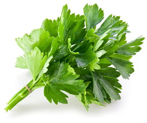 Bunch of green coriander