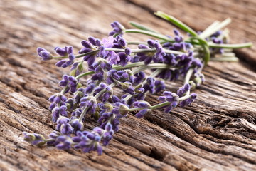 Obraz na płótnie Canvas Bunch of lavender.