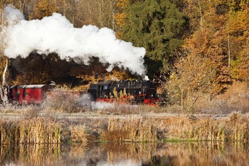 Harzer Schmalspurbahnen im Herbst / Selketalbahn