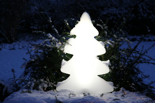 Weihnachtsbaum im Schnee