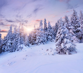 Obraz premium Beautiful winter landscape in the mountains. Sunrise
