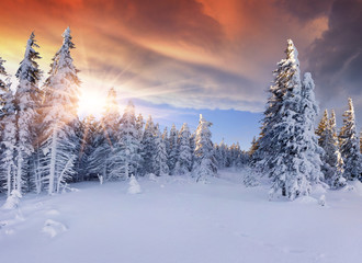 Beautiful winter sunrise in the mountains. Dramatic red  sky