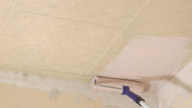 With the roller paint a ceiling.