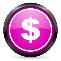 us dollar violet glossy icon on white background