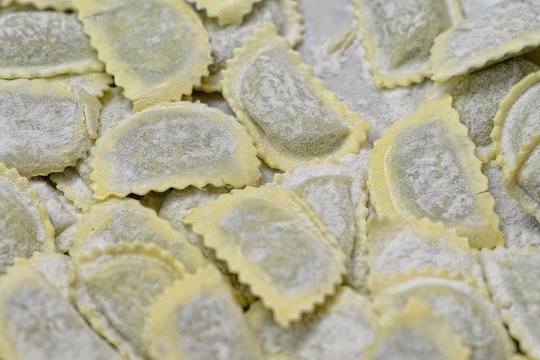 Pansotti
